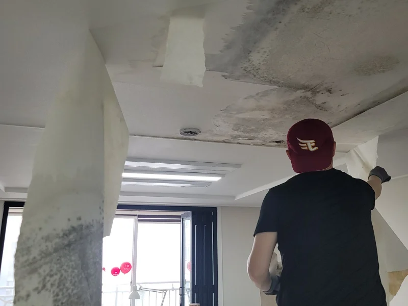일산 천장누수복구 작업 사진 — 천장 곰팡이 부위 현장 점검